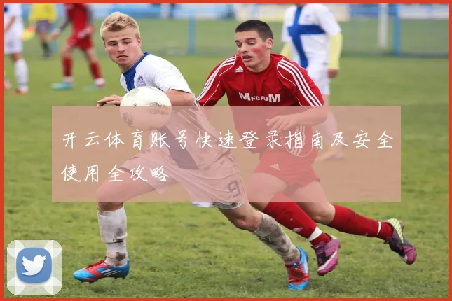 开云体育账号快速登录指南及安全使用全攻略