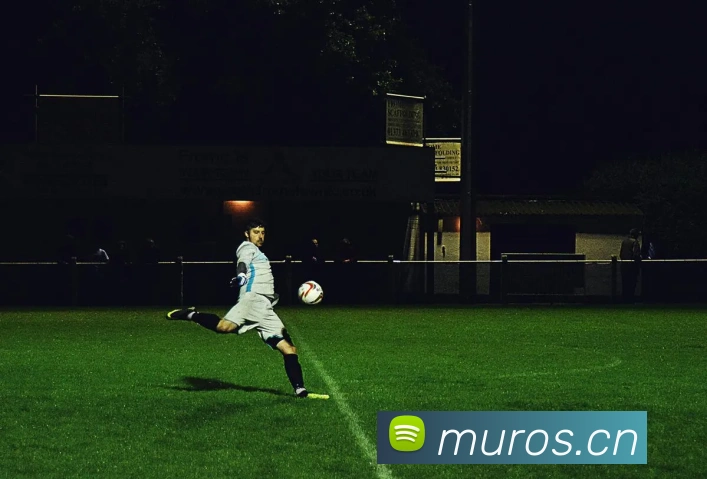 开云官网平台生态图