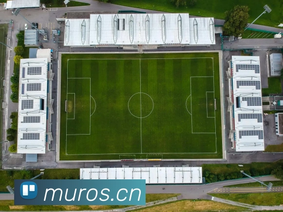 开云官网全站App